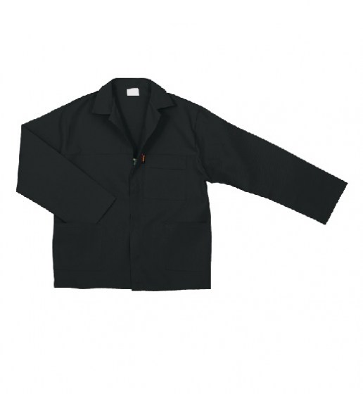 Web pic31